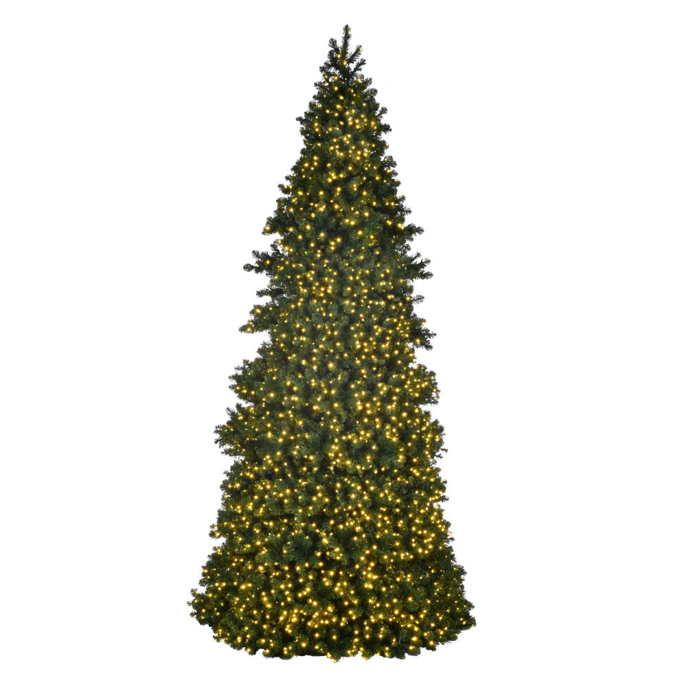 Vickerman 14' x 74" Artificial Pre-Lit Slim Grand Teton Frame Tree with LED Warm White 5mm Single Mold Lights