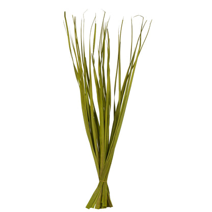 Vickerman 36-40" Basil Rush Grass 7 oz Bundle Dried