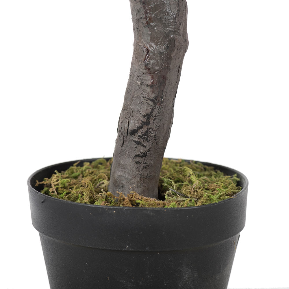 Vickerman 50" Artificial Potted Olive Tree.