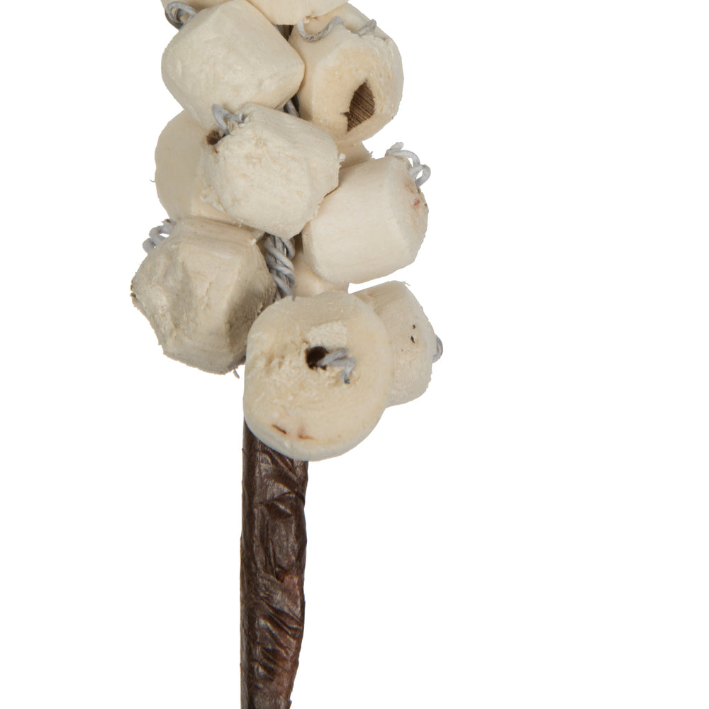 Vickerman Natural Botanicals 24" Natural Dried Sola Berries Stick- 24/bag. Dried and preserved.
