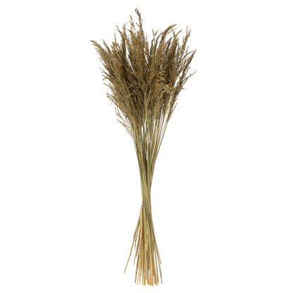 Vickerman 36" Natural Congo Grass 8 oz Bundle Dried