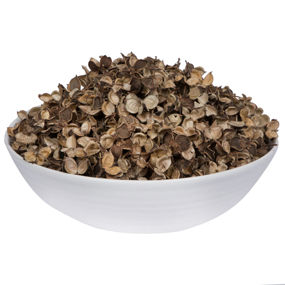 Vickerman Natural Botanicals 0.8" Cotton Flower Natural. Includes 1 kilogram of product per unit