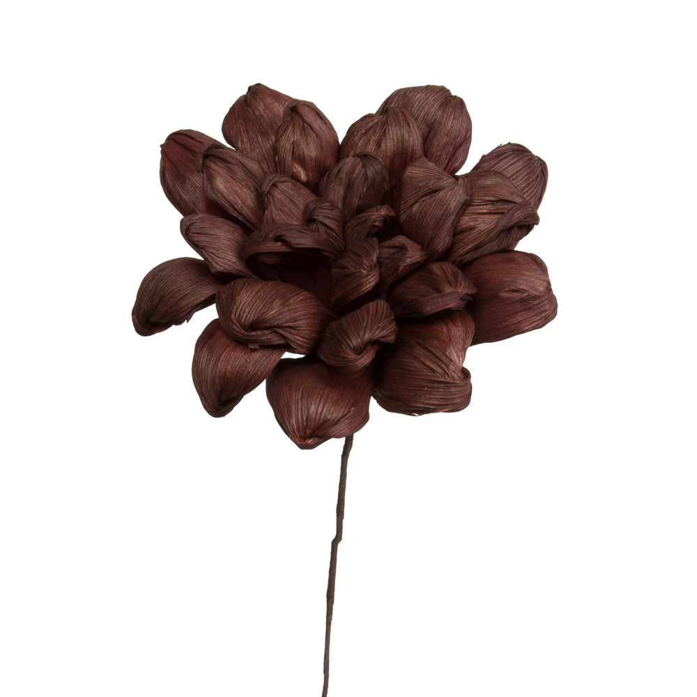 Vickerman Natural Botanicals 6" Brown Maize Dahlia on 18" wire stem- 6 stem/bag. Dried and preserved.