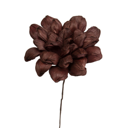 Vickerman Natural Botanicals 6" Brown Maize Dahlia on 18" wire stem- 6 stem/bag. Dried and preserved.