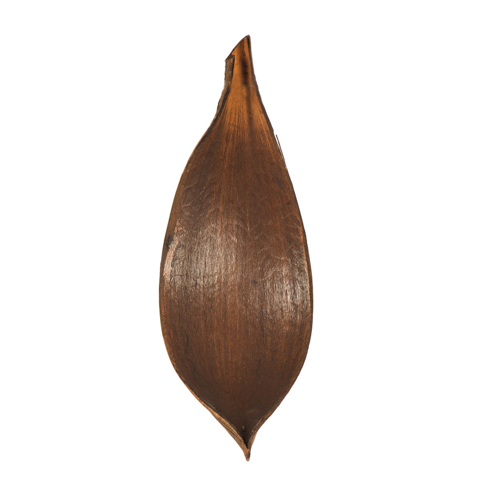 Vickerman PALM PADDLES MINI DK BROWN 15 PIECE BAG (CPD-25) Dried