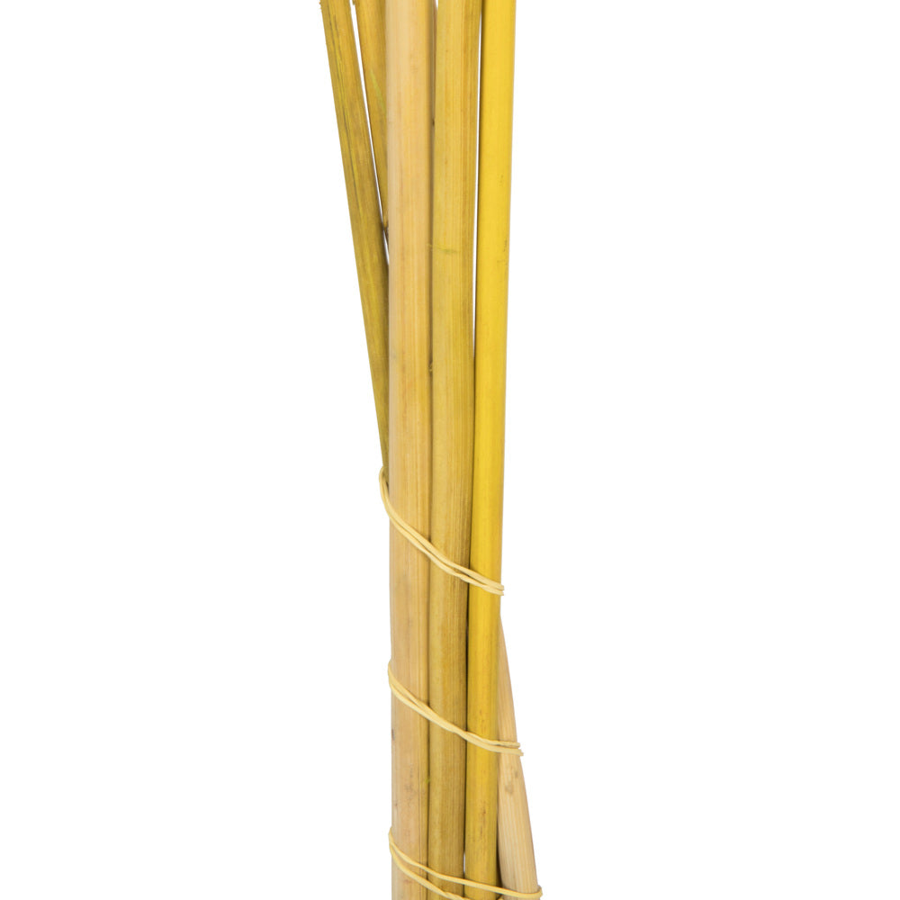 Vickerman 46" Dried Light Basil Green Pampas 6 pack. It includes two stems. Recommended for Indoor.