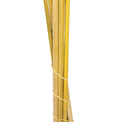 Vickerman 46" Dried Light Basil Green Pampas 6 pack. It includes two stems. Recommended for Indoor.