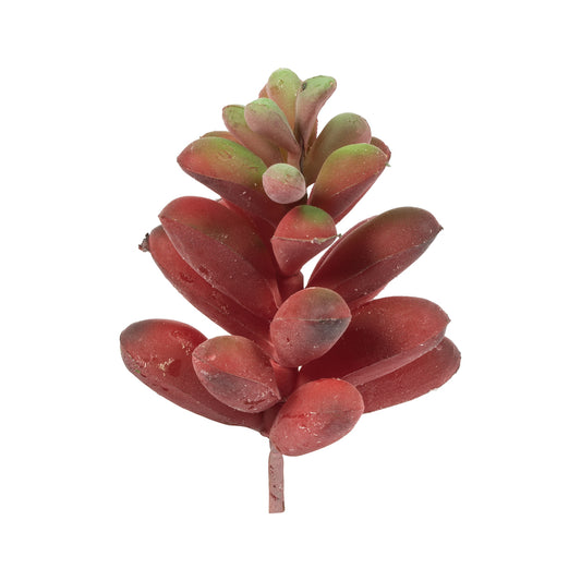 Vickerman 4" Artificial Assorted Succulent Picks 6 per Bag