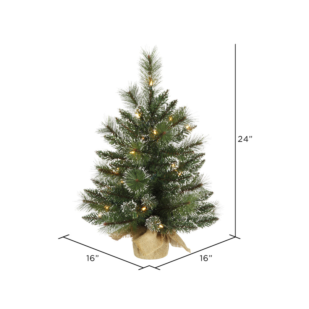Vickerman 2' Snow Tipped Mixed Pine Artificial Christmas Tree Clear Dura-lit Lights