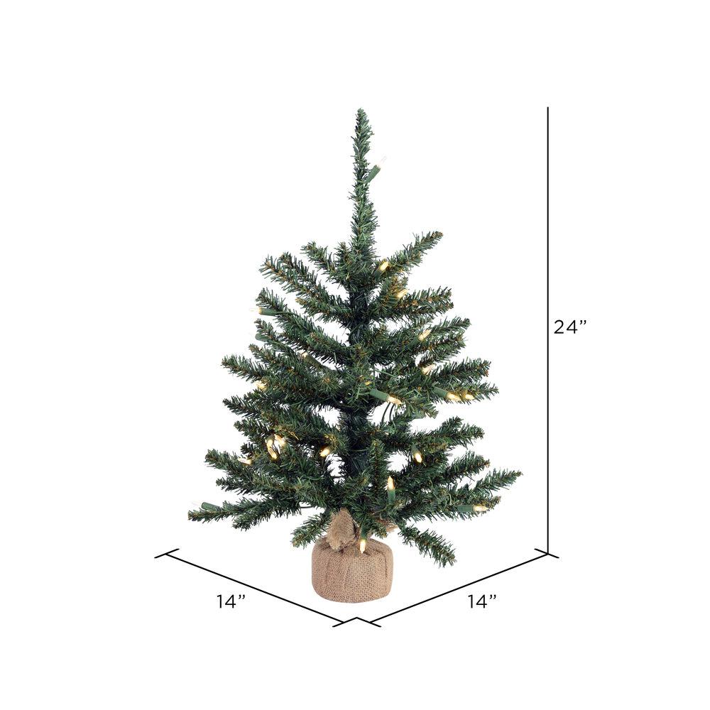 Vickerman 24" Anoka Pine Artificial Christmas Tree Warm White Dura-lit LED Lights