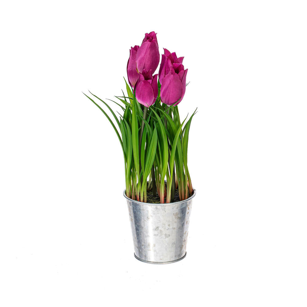 Vickerman 10.5" Artificial Assorted Set of Tulips in Metal Pot.
