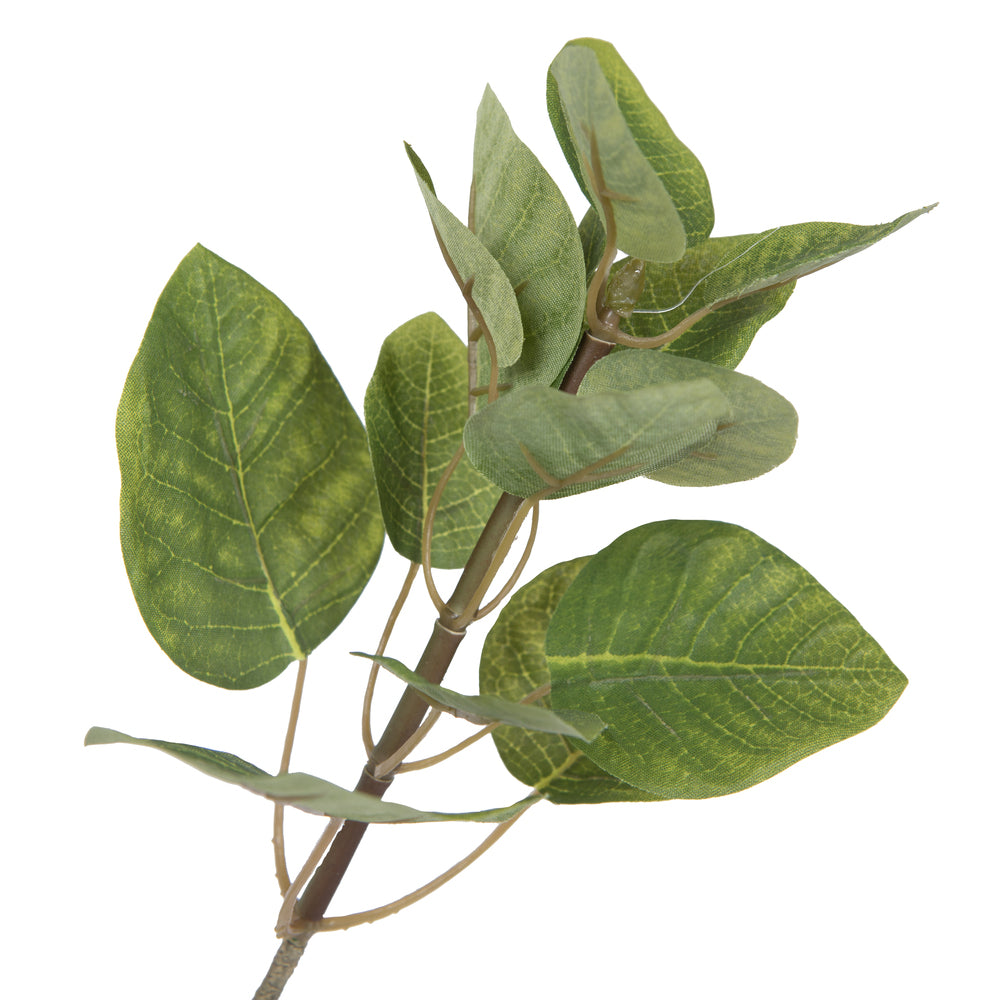 Vickerman 5' Artificial Green Potted Cotinus Coggygria Tree.
