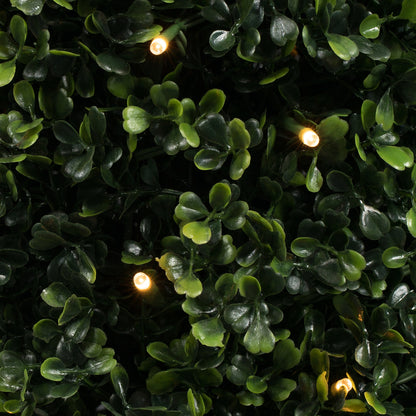 Vickerman 5' Potted Artificial Boxwood Cone with 150 Warm White LED Lghts.
