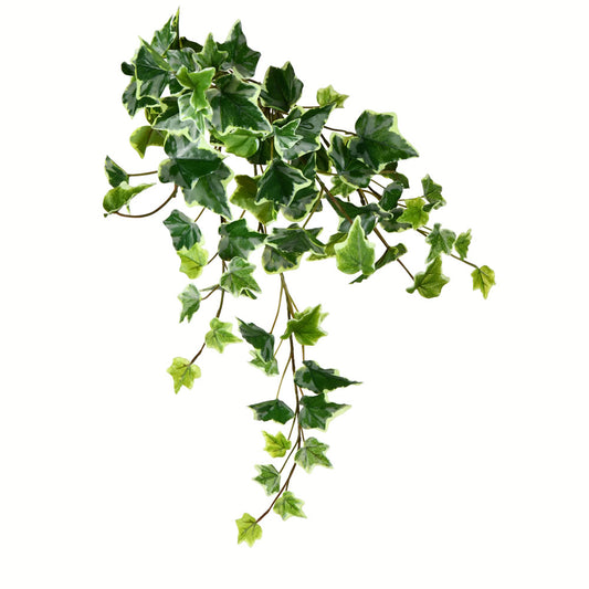 Vickerman 18" Artificial Variegated Ivy Hanging Bush Set of 3