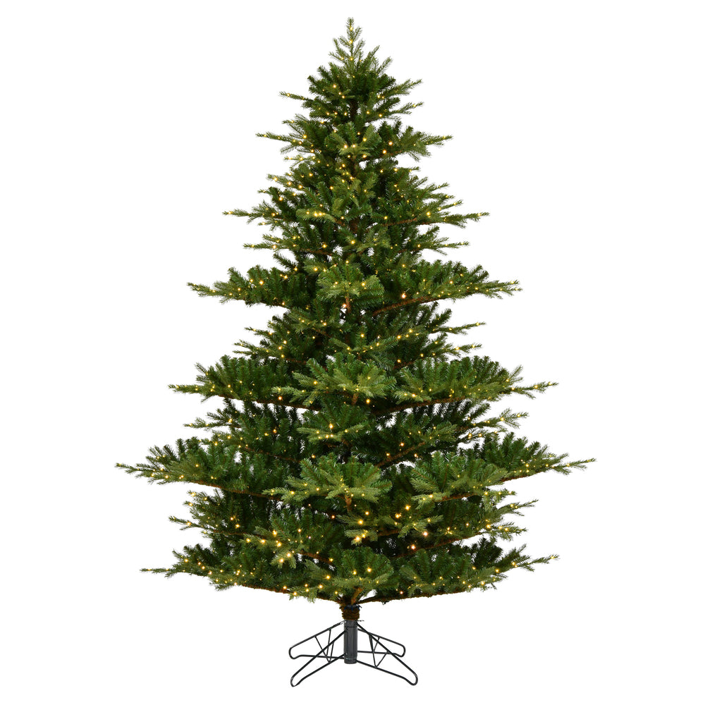 Vickerman 12' x 85" Sherwood Fir Artificial Christmas Tree Warm White LED  Lights