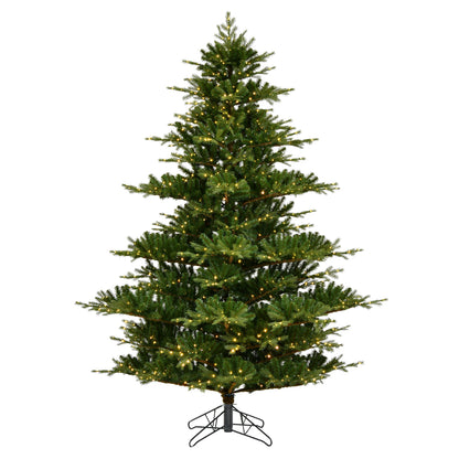 Vickerman 12' x 85" Sherwood Fir Artificial Christmas Tree Warm White LED  Lights