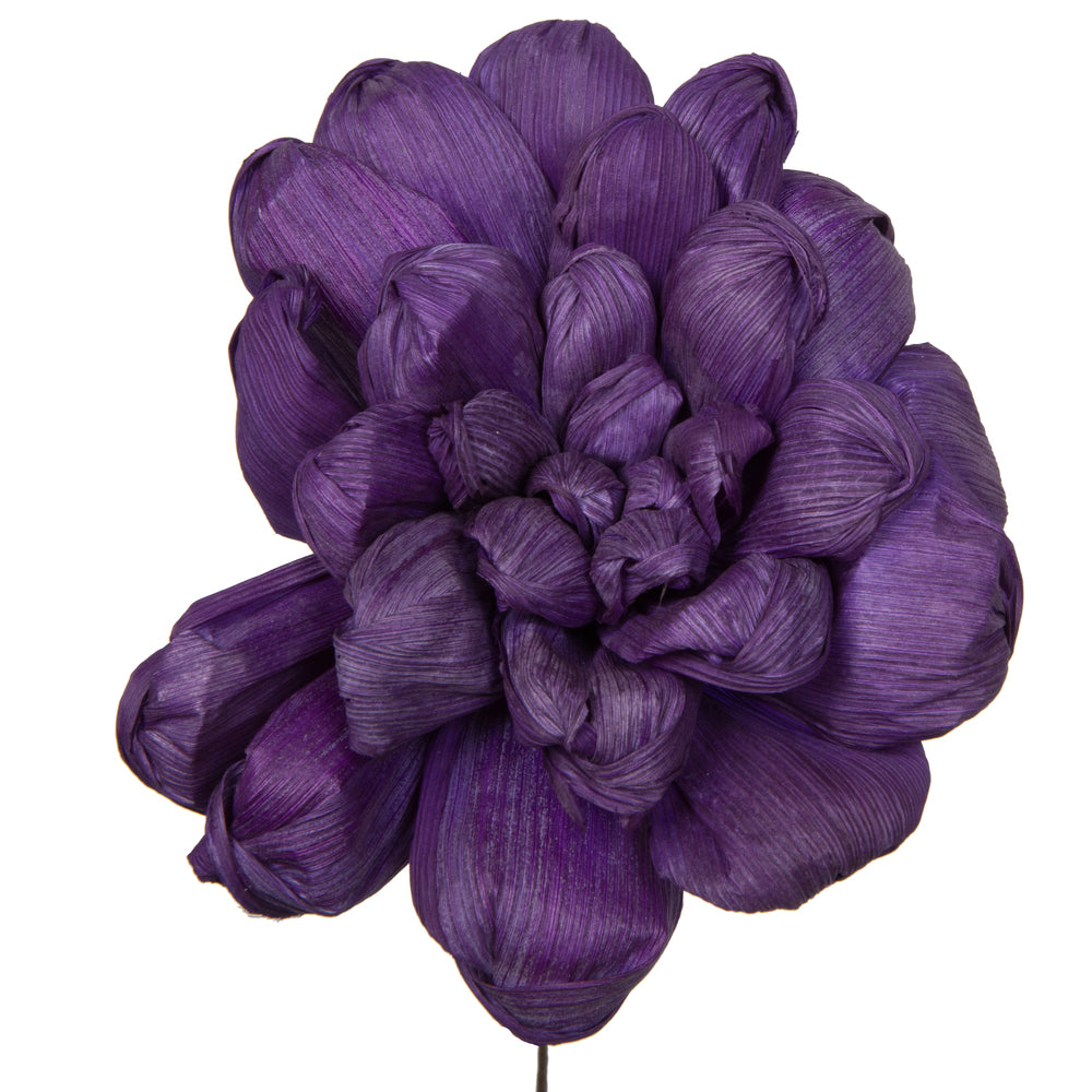 Vickerman Natural Botanicals 6" Violet Maize Dahlia. 6 stem/bag. Dried and preserved.