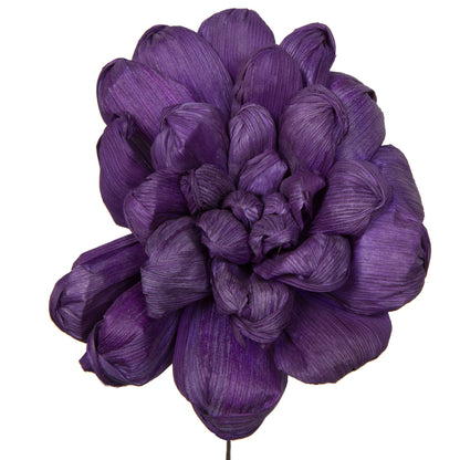 Vickerman Natural Botanicals 6" Violet Maize Dahlia. 6 stem/bag. Dried and preserved.