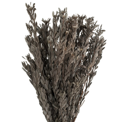 Vickerman 18-20" Silver White Pubescens 5 oz Bundle Preserved