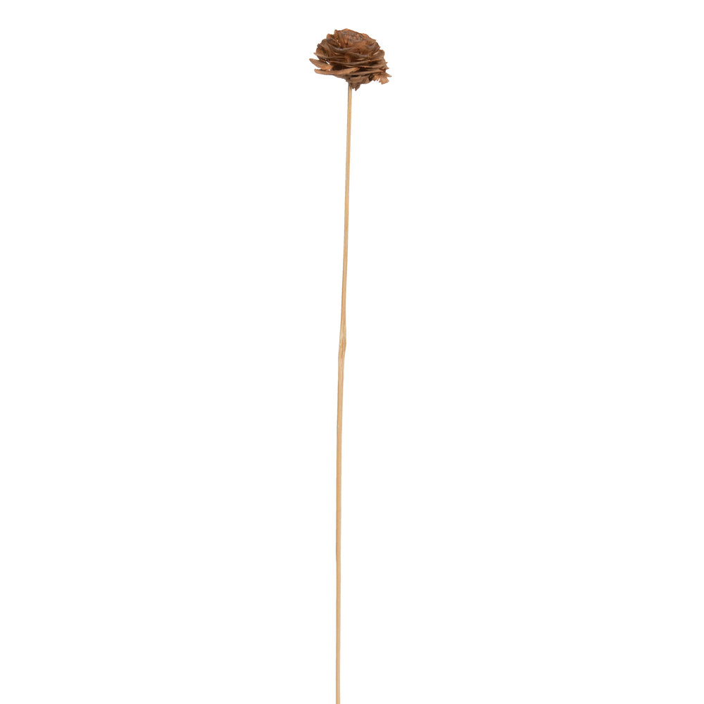 Vickerman Natural Botanicals 1.3"-1.75" Cedar Rose Natural on Stem. Includes 50 pieces per polybag.