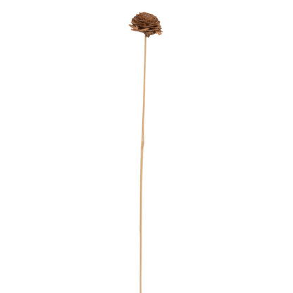 Vickerman Natural Botanicals 1.3"-1.75" Cedar Rose Natural on Stem. Includes 50 pieces per polybag.