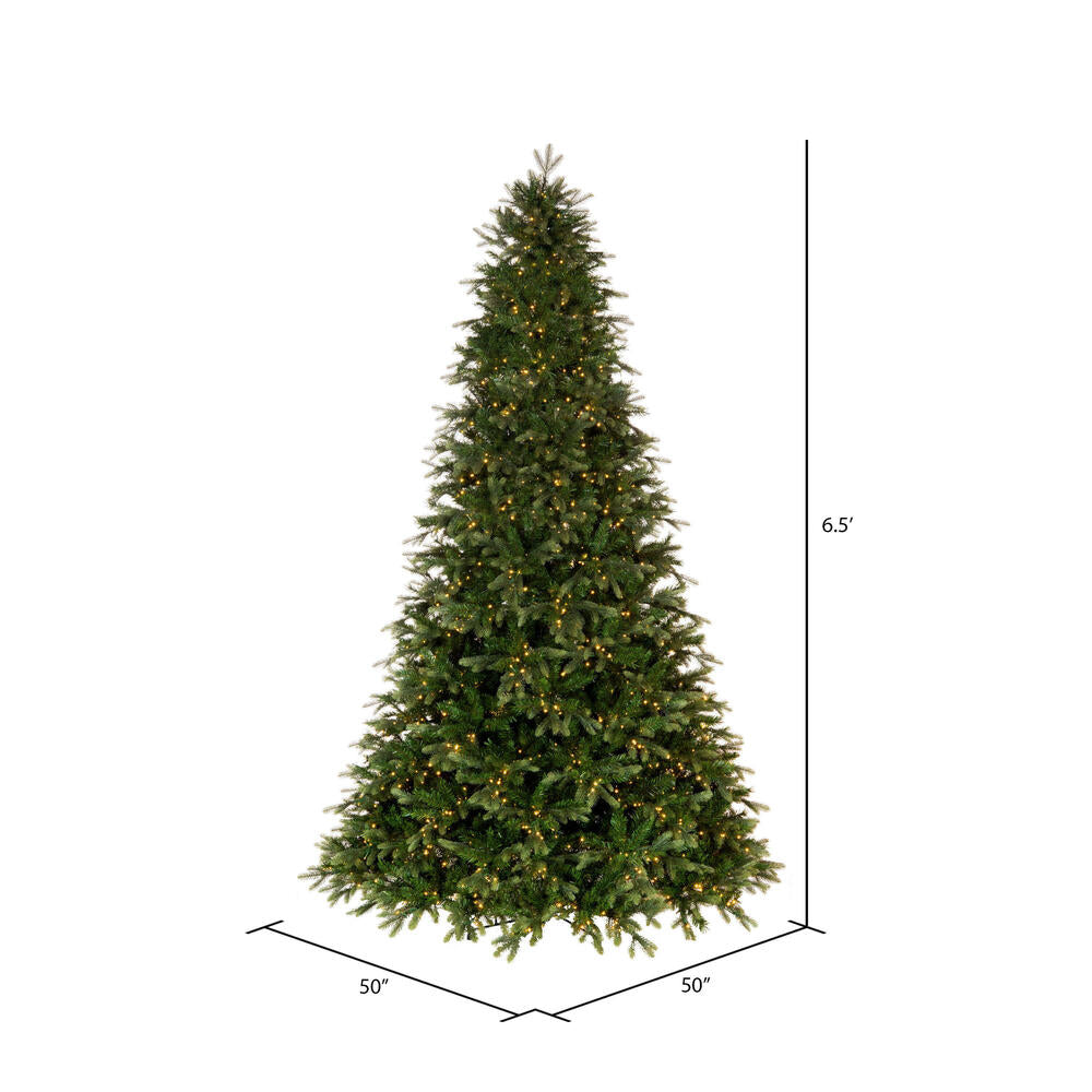 Vickerman 6.5' x 50" Douglas Fir Artificial Pre-Lit Christmas Tree Warm White LED Mini Lights.