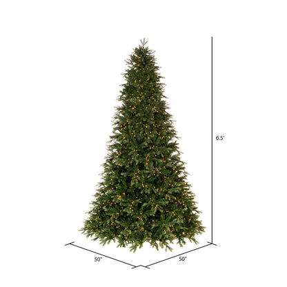 Vickerman 6.5' x 50" Douglas Fir Artificial Pre-Lit Christmas Tree Warm White LED Mini Lights.
