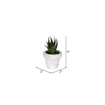 Vickerman 4" Artificial Assorted Potted Succulents Set of 6.