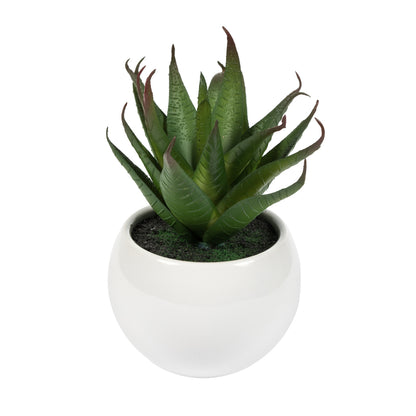 Vickerman 5" Artificial Assorted Potted Succulents.