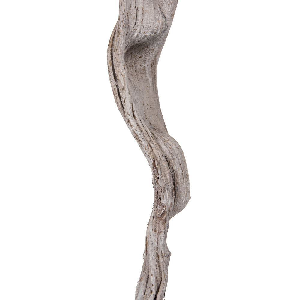 Vickerman 36-40" White Monkeys Ladder Vine Pack of 2 Dried