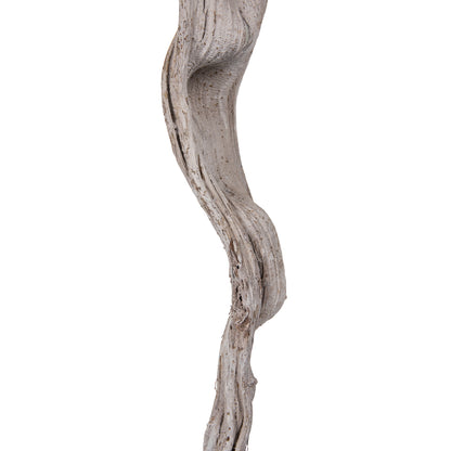 Vickerman 36-40" White Monkeys Ladder Vine Pack of 2 Dried