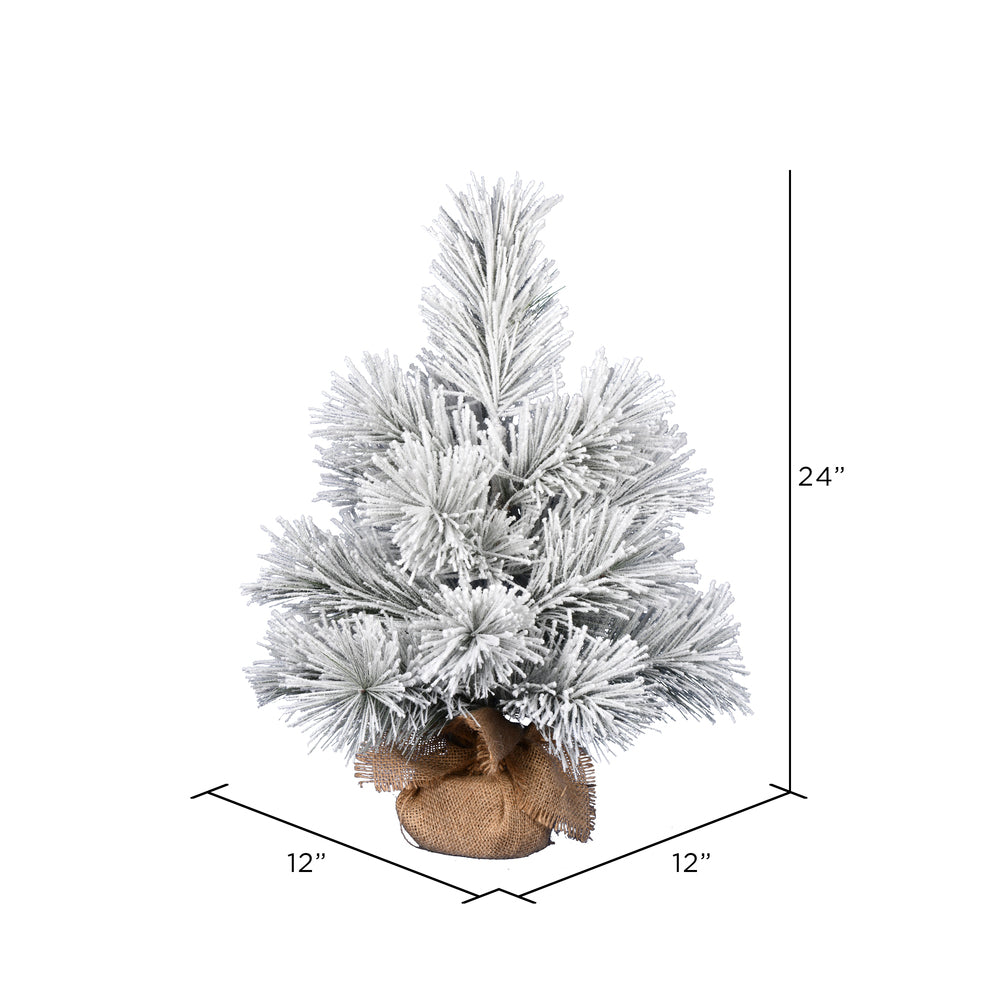 Vickerman 24" Frosted Beckett Pine Artificial Christmas Tree Unlit