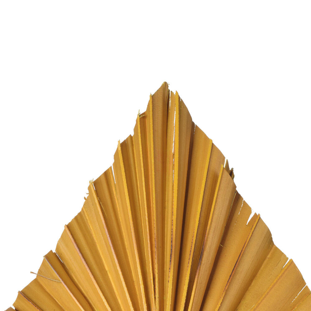 Vickerman Natural Botanicals 15.75 - 19.5" Aspen Gold Dried Palm Spear 12 per bag.