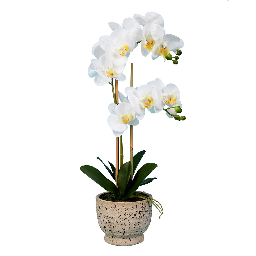 Vickerman 23" Artificial White Phalaenopsis In Pot.
