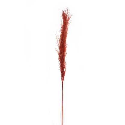 Vickerman 46" Dried Bordeaux Pampas Grass 6 pack. It includes two stems. Recommended for Indoor.