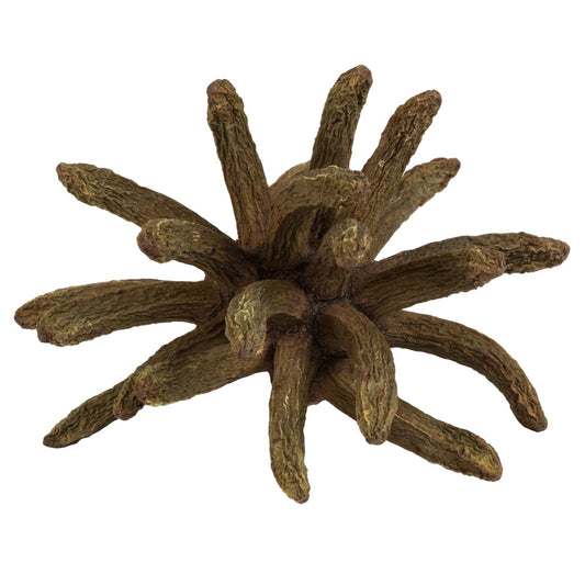 Vickerman 3-4" Nat'l Green Spider Claws Includes 16-20 pieces per tray Dried