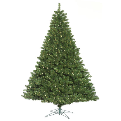 Vickerman 6.5' Oregon Fir Artificial Christmas Tree Wide Angle Single Mold Warm White LED Lights