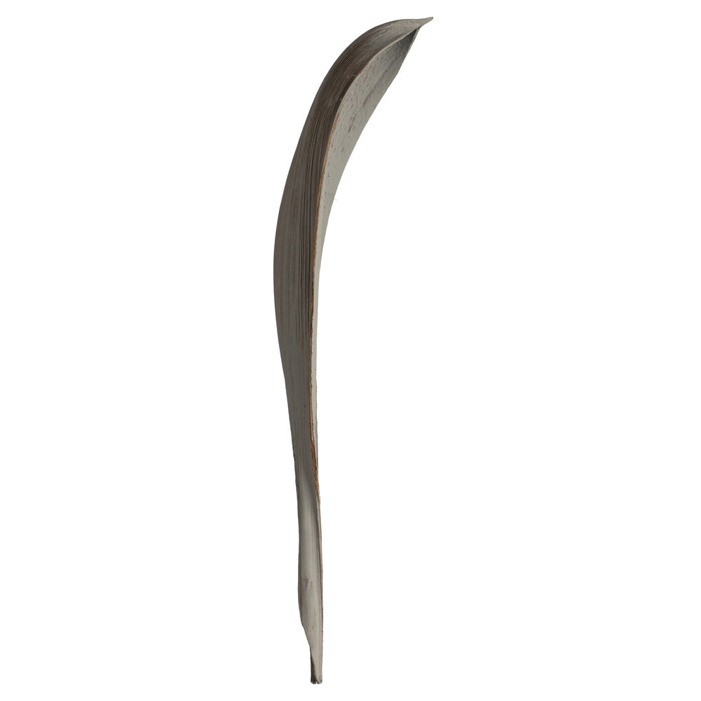 Vickerman 24-30" Gray Wash Palm Paddle. Includes 3 paddles Dried
