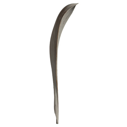 Vickerman 24-30" Gray Wash Palm Paddle. Includes 3 paddles Dried