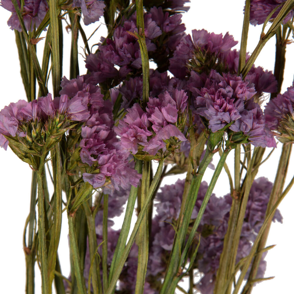 Vickerman Natural Botanicals 19.5" Pink Statice Flower 1.25 oz per unit