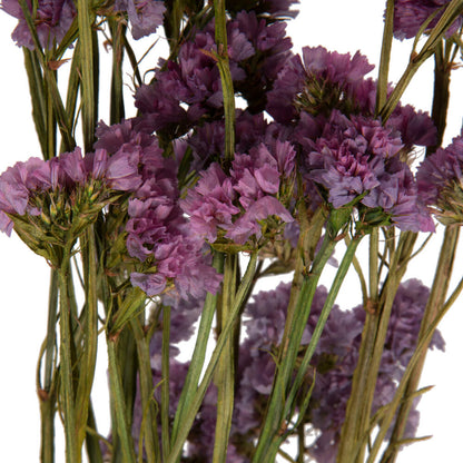Vickerman Natural Botanicals 19.5" Pink Statice Flower 1.25 oz per unit