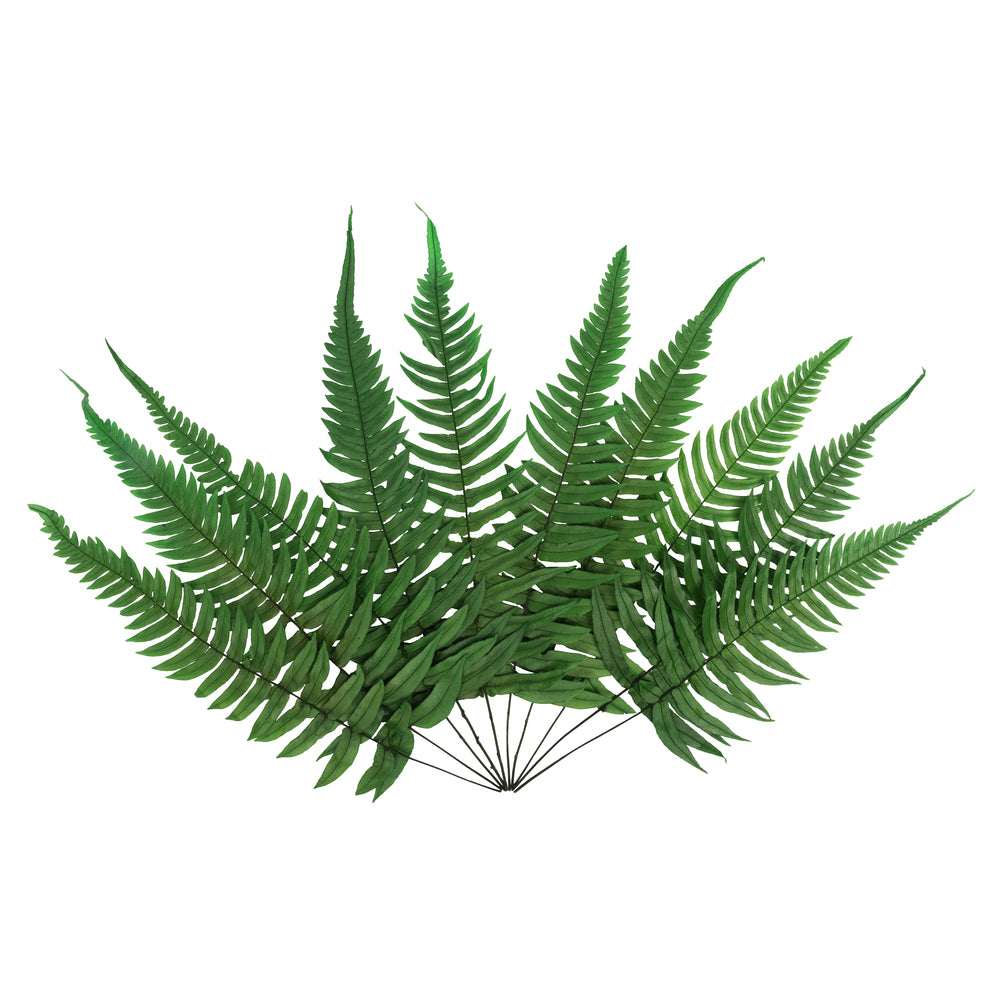 Vickerman 12-13" Green Fern- Rock 10 stems Preserved