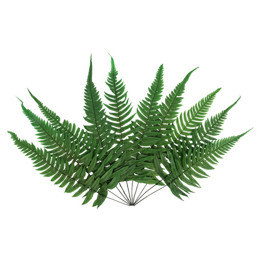 Vickerman 12-13" Green Fern- Rock 10 stems Preserved
