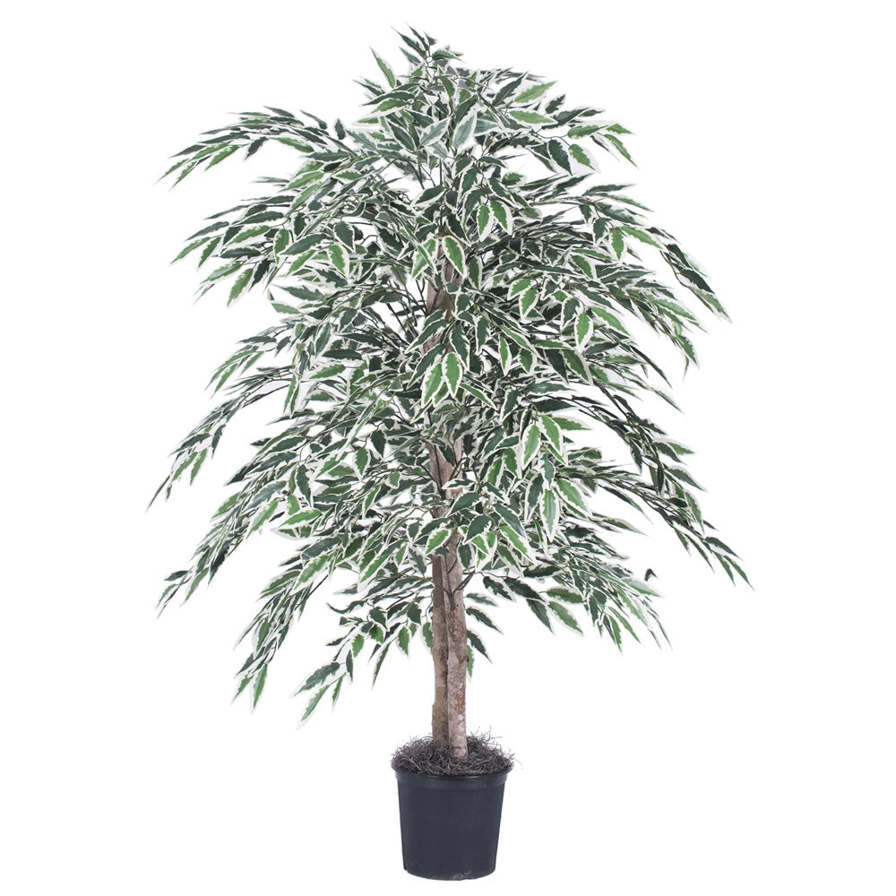 Vickerman 4' Artificial Variegated Smilax Bush Black Plastic Pot.