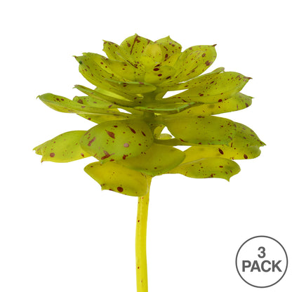 Vickerman 6" Artificial Green and Brown Spotted Echeveria Pick Set of 3
