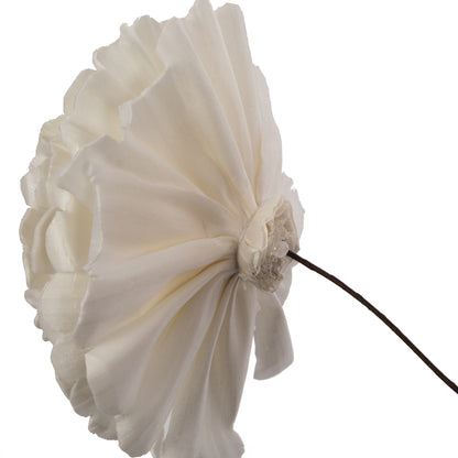 Vickerman Natural Botanicals 4" Natural Dried Camellia Sola Flower on 12" wire stem- 12 stem/polybag.