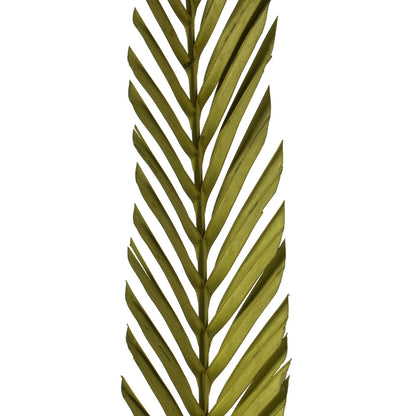 Vickerman 38-48" Basil Coco Palm - Designer Cut 6 stems Dried