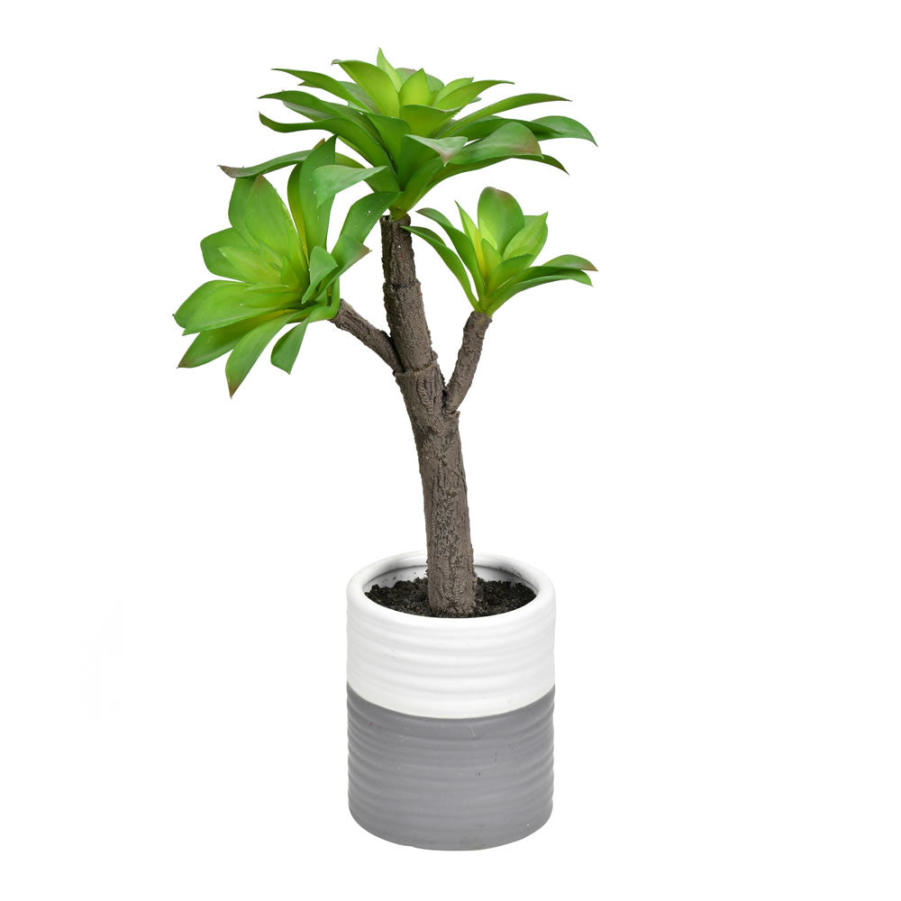 Vickerman 15" Artificial Succulent  Ceramic Pot