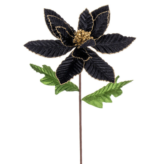 Vickerman 22" Black Velvet Glitter Trim Poinsettia 6 per bag.