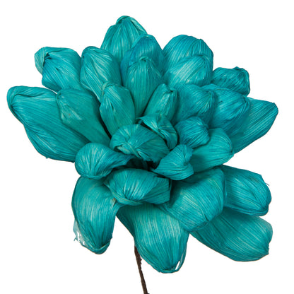 Vickerman Natural Botanicals 6" Turquoise Maize Dahlia on 18" wire stem- 6 stem/bag. Dried and preserved.